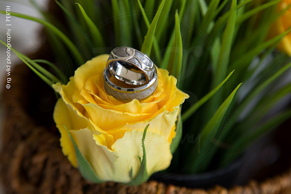 Wedding Photography by Linda Wild