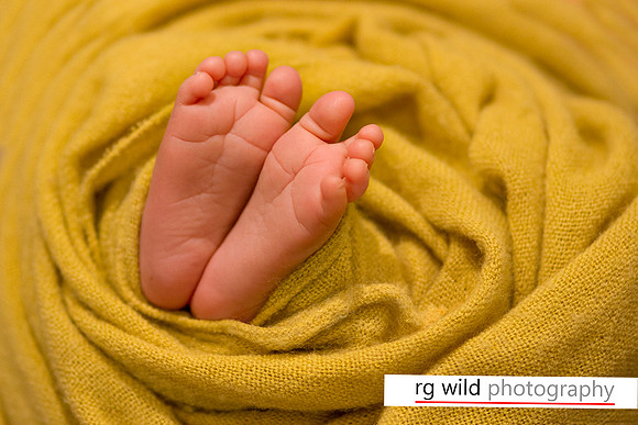 Newborn Photography | RG Wild Photography
