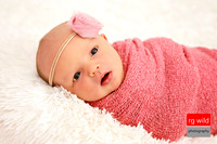 Newborn Photography | RG Wild Photography