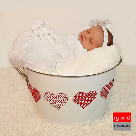 Newborn Photography | RG Wild Photography