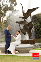 Wedding Photography by Linda Wild, RG Wild Photography