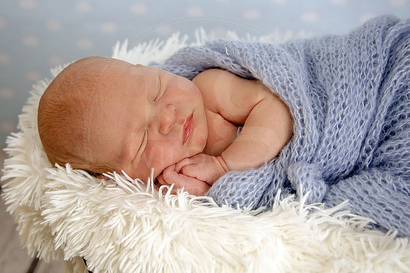 Image by Linda Wild, RG Wild Photography