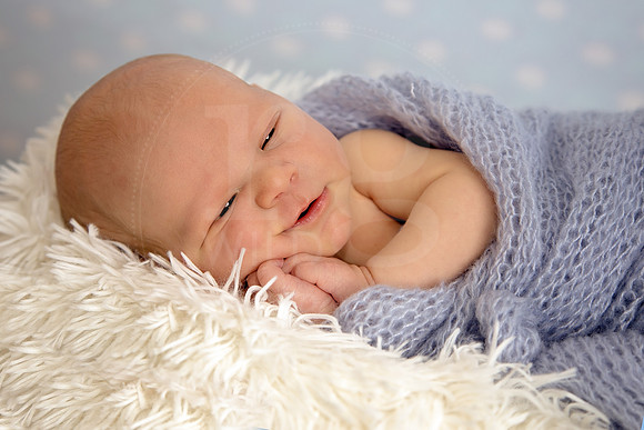 Image by Linda Wild, RG Wild Photography