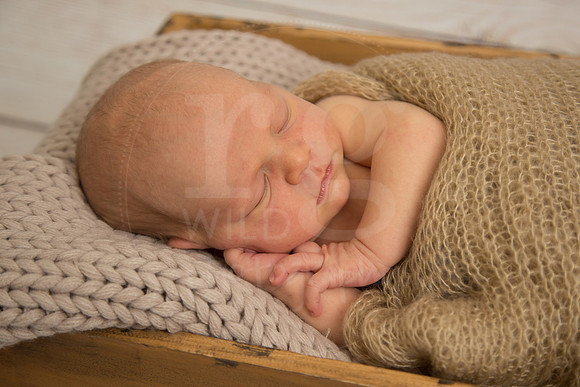 Image by Linda Wild, RG Wild Photography