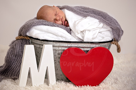 Image by Linda Wild, RG Wild Photography