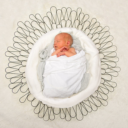 Image by Linda Wild, RG Wild Photography
