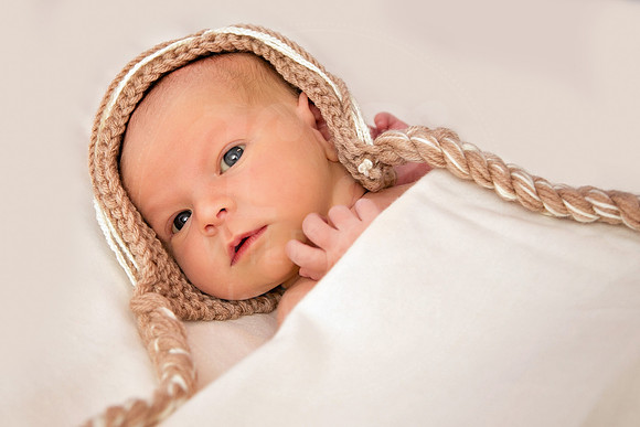 Image by Linda Wild, RG Wild Photography