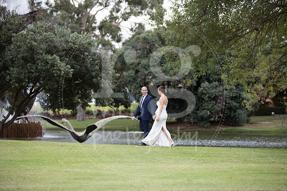 Image by Linda Wild, RG Wild Photography | Perth