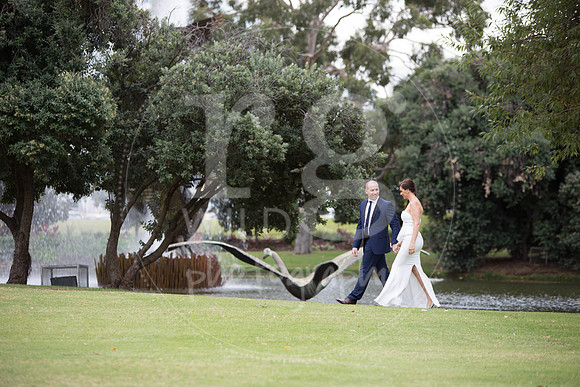 Image by Linda Wild, RG Wild Photography | Perth