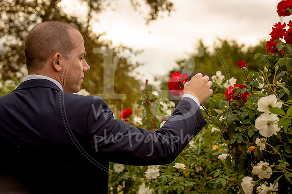 Image by Linda Wild, RG Wild Photography | Perth