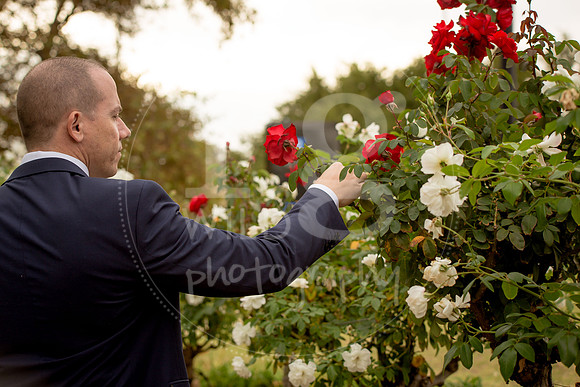 Image by Linda Wild, RG Wild Photography | Perth