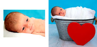 © Images & Album Design By RG Wild Photography