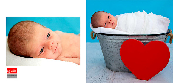 © Images & Album Design By RG Wild Photography