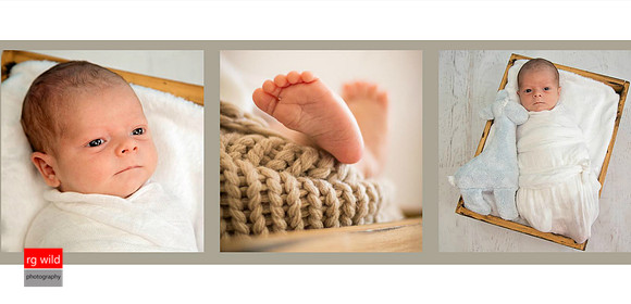 © Images & Album Design By RG Wild Photography