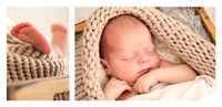 © Images & Album Design By RG Wild Photography