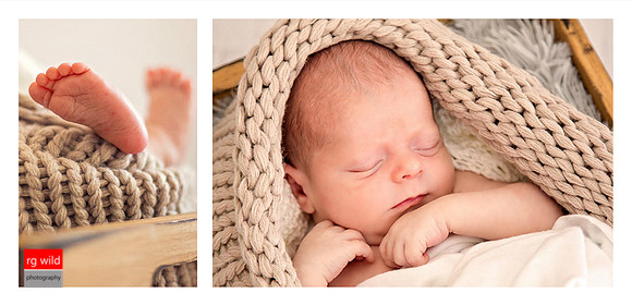 © Images & Album Design By RG Wild Photography