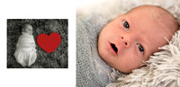 © Images & Album Design By RG Wild Photography
