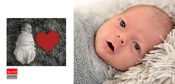 © Images & Album Design By RG Wild Photography