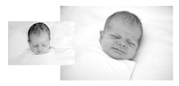 © Images & Album Design By RG Wild Photography