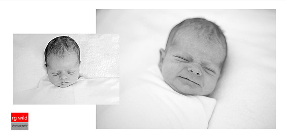 © Images & Album Design By RG Wild Photography