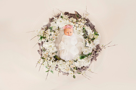Image by Linda Wild