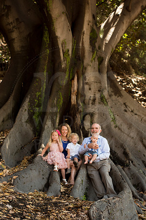 Image by Linda Wild, RG Wild Photography