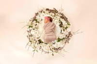 Newborn Photography | RG Wild Photography