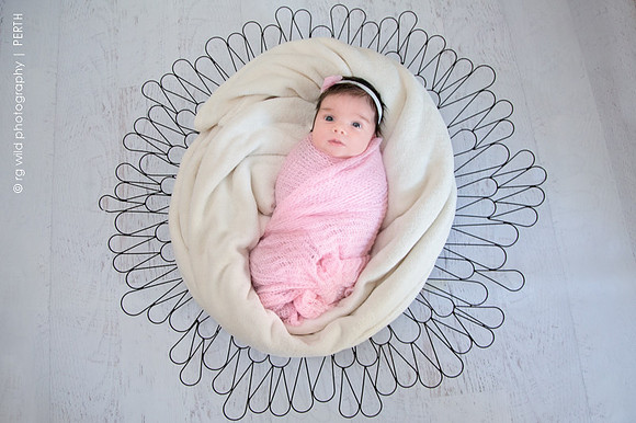 Image by Linda Wild, RG Wild Photography