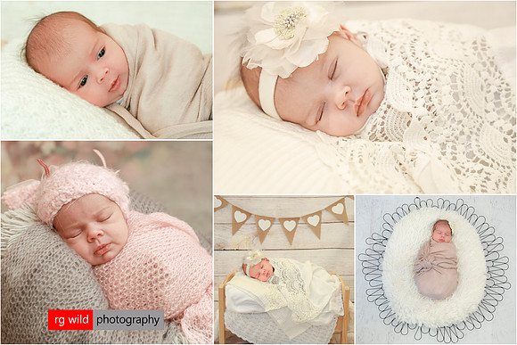 Image by Linda Wild, RG Wild Photography