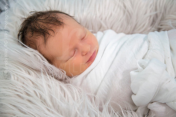 Newborn Portraits by RG Wild Photography |  Harrison