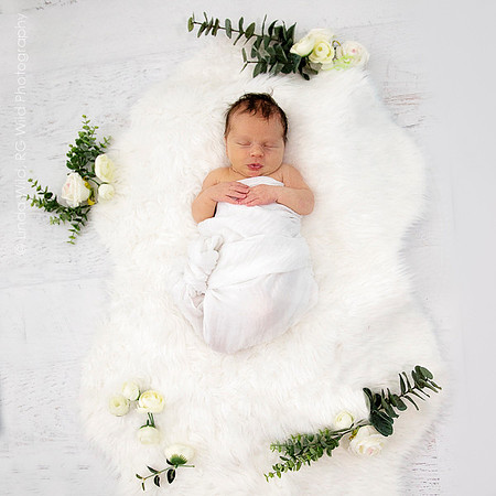 Newborn Portraits by RG Wild Photography |  Harrison