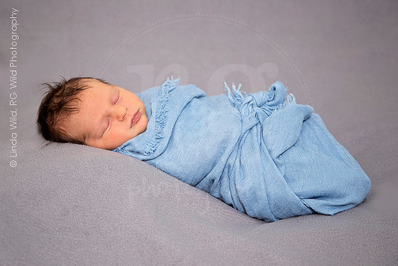 Newborn Portraits by RG Wild Photography |  Harrison