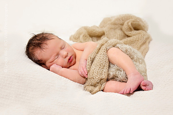 Newborn Portraits by RG Wild Photography |  Harrison