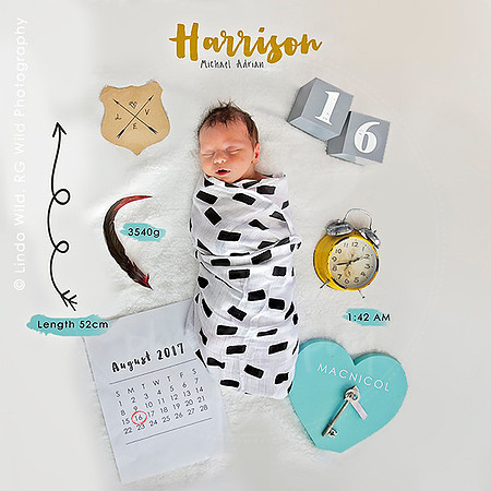 Newborn Portraits by RG Wild Photography |  Harrison