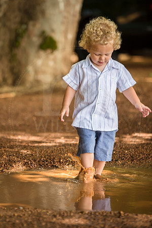 Image by Linda Wild, RG Wild Photography