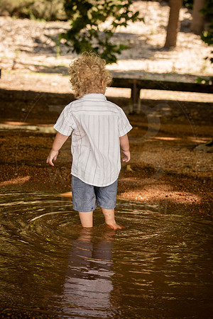 Image by Linda Wild, RG Wild Photography