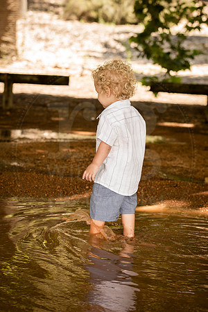 Image by Linda Wild, RG Wild Photography