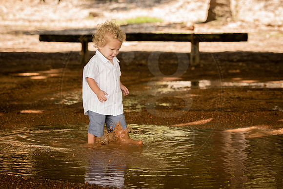 Image by Linda Wild, RG Wild Photography