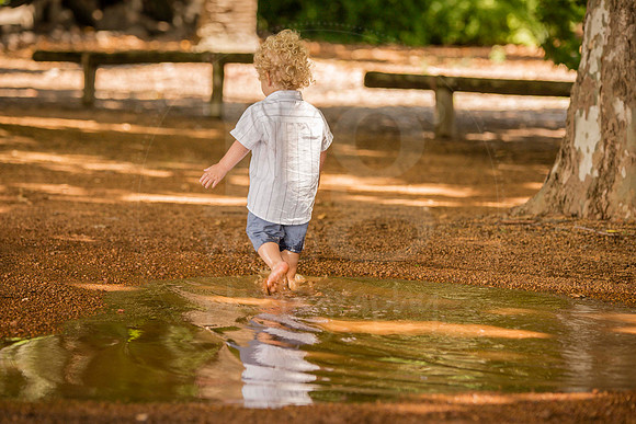 Image by Linda Wild, RG Wild Photography