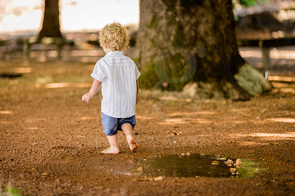 Image by Linda Wild, RG Wild Photography