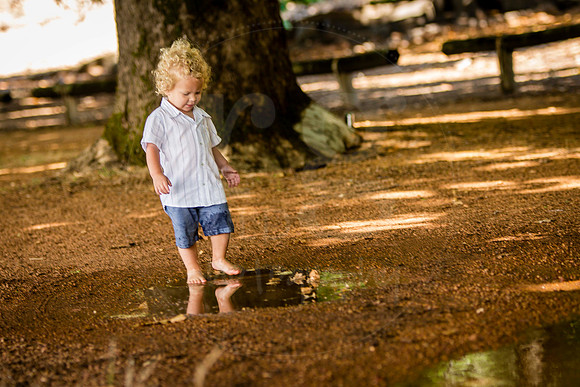 Image by Linda Wild, RG Wild Photography