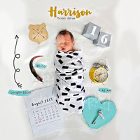 Low Resolution | Online Use Only | Harrison 2017