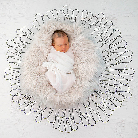 Newborn Portraits by RG Wild Photography Harrison 2017