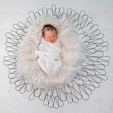 Newborn Portraits by RG Wild Photography Harrison 2017