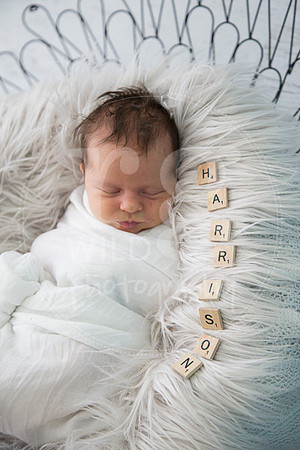 Newborn Portraits by RG Wild Photography Harrison 2017