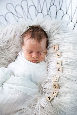 Newborn Portraits by RG Wild Photography Harrison 2017