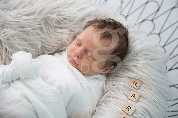 Newborn Portraits by RG Wild Photography Harrison 2017