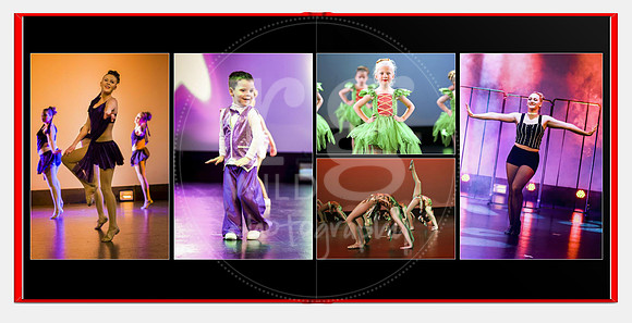 8"x8" Hardcover Layflat Album [31 IMAGES IN TOTAL] $185
