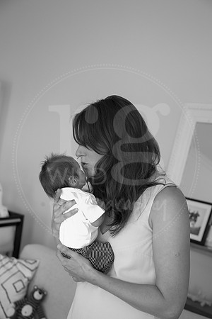 Image by Linda Wild, RG Wild Photography