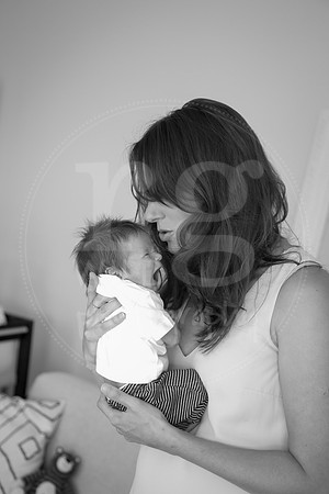 Image by Linda Wild, RG Wild Photography